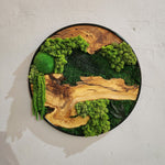 Round wood and moss wall art with natural wood grain and green preserved moss in a black metal frame by MOSSMOOD - the product Botanic Bloom.