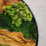 Detail of preserved moss texture and smooth wood grain in handcrafted wall decor by MOSSMOOD - the product Botanic Bloom.