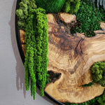 Detail of preserved moss texture and smooth wood grain in handcrafted wall decor by MOSSMOOD - the product Botanic Bloom.