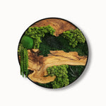 Round wood and moss wall art with natural wood grain and green preserved moss in a black metal frame by MOSSMOOD - the product Botanic Bloom.