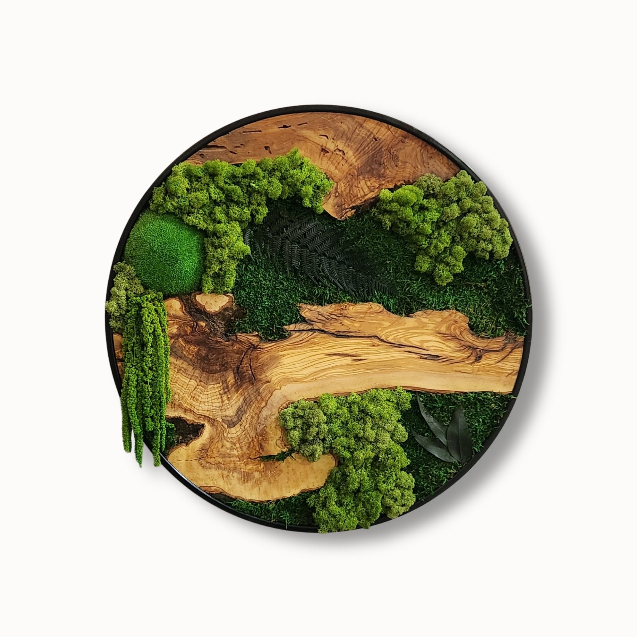 Round wood and moss wall art with natural wood grain and green preserved moss in a black metal frame by MOSSMOOD - the product Botanic Bloom.