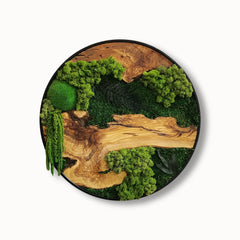 Round wood and moss wall art with natural wood grain and green preserved moss in a black metal frame by MOSSMOOD - the product Botanic Bloom.