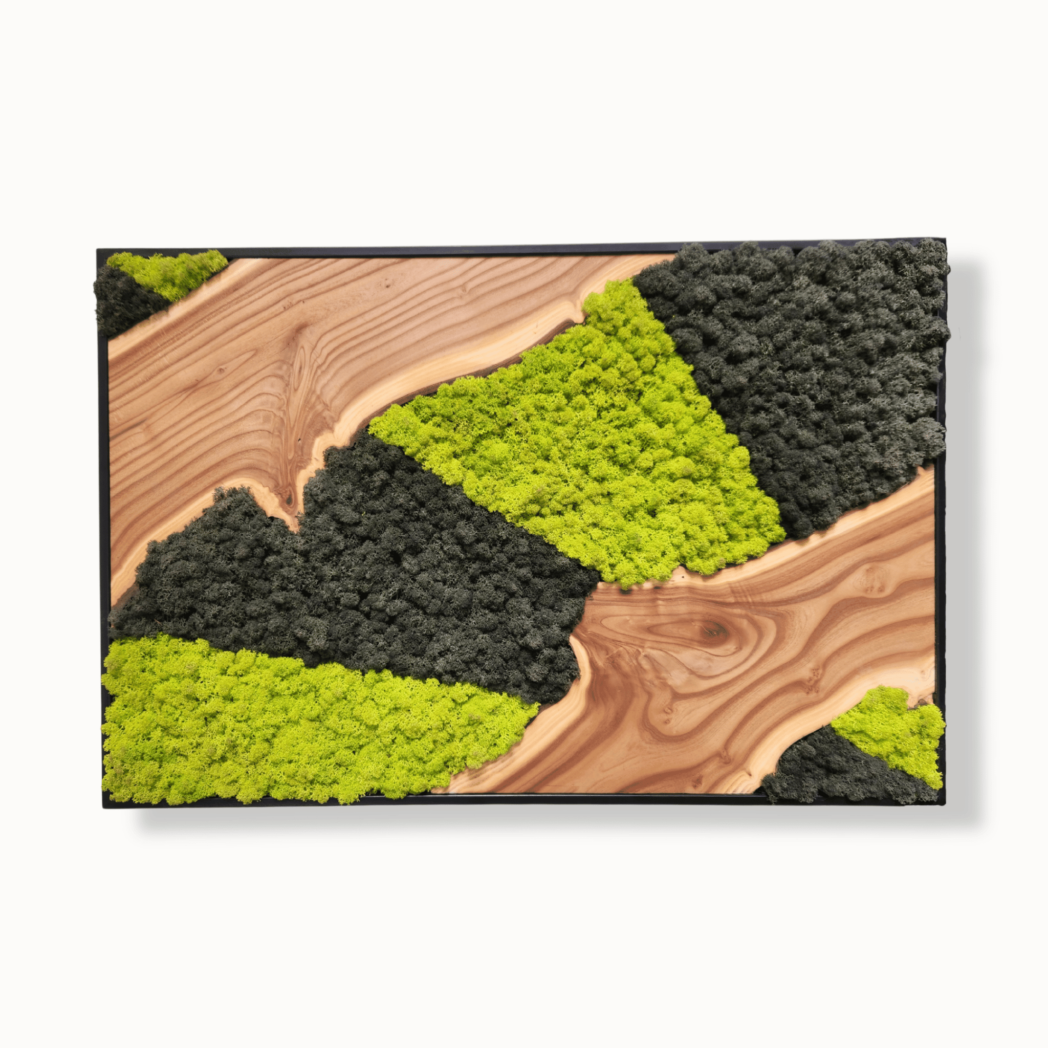 Earthbound - MOSSMOOD