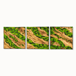 Earth’s Mosaic - MOSSMOOD
