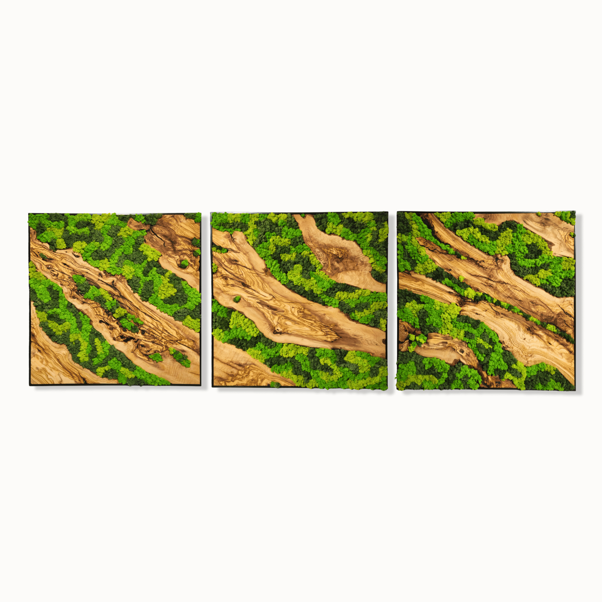 Earth’s Mosaic - MOSSMOOD