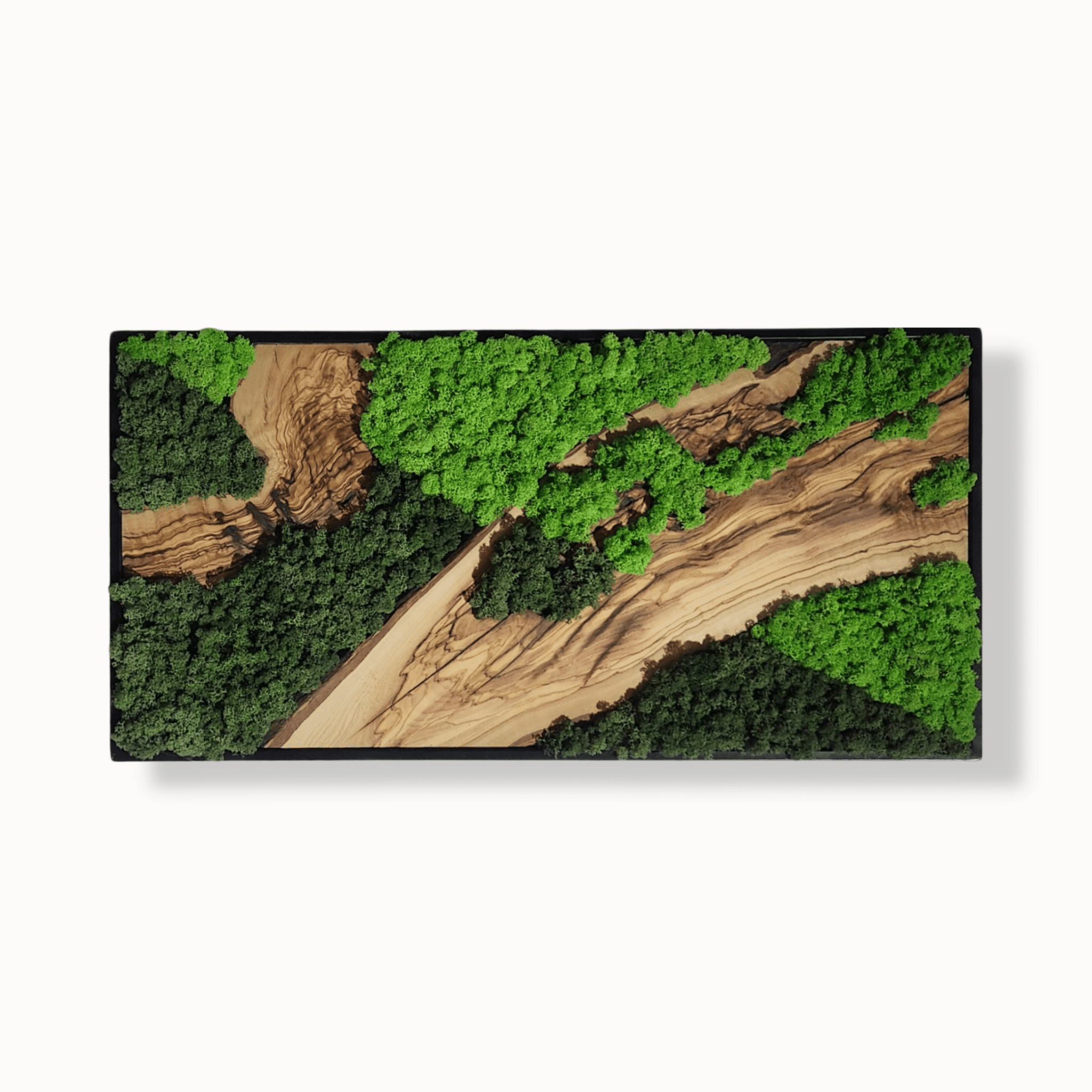 Evergreen Serenity - MOSSMOOD