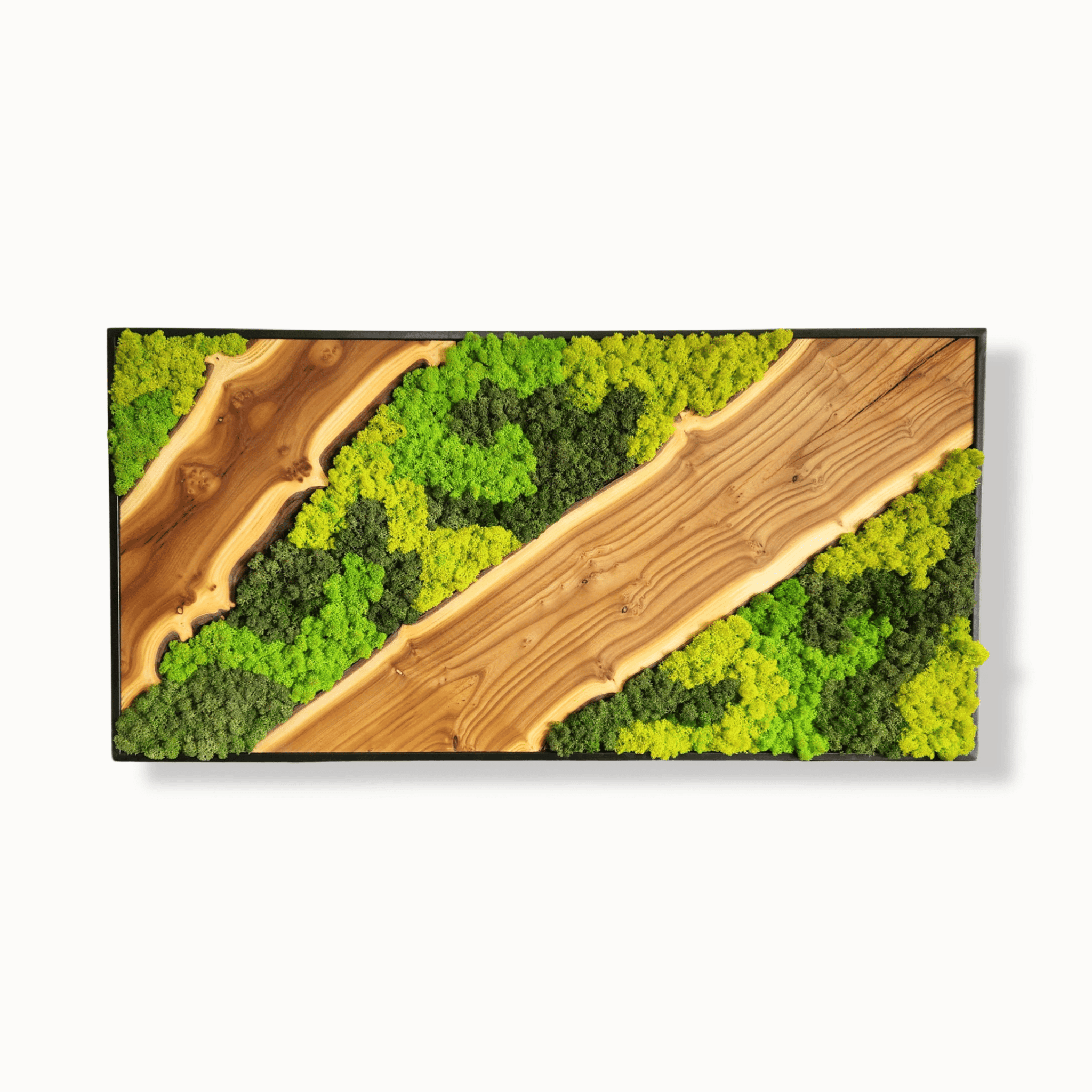 Everwood - MOSSMOOD