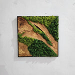Forest Symphony - MOSSMOOD