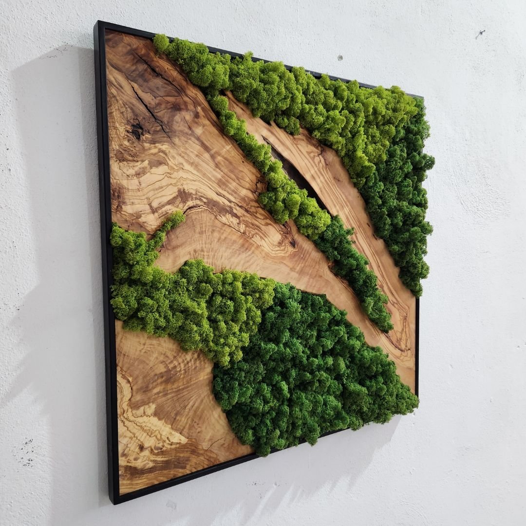Forest Symphony - MOSSMOOD