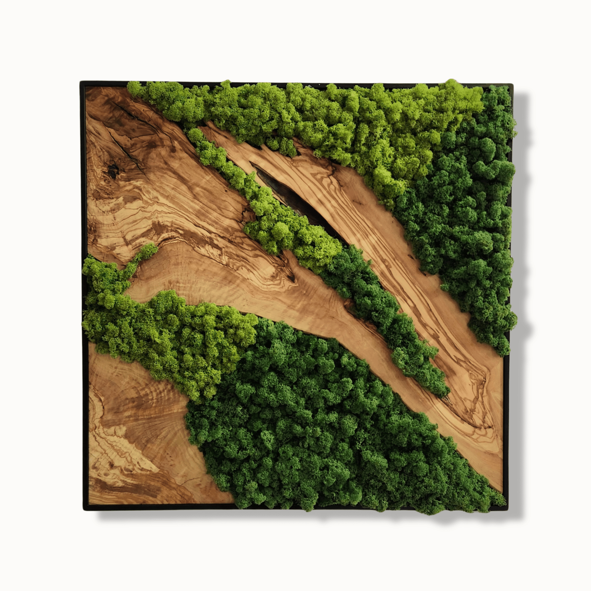 Forest Symphony - MOSSMOOD