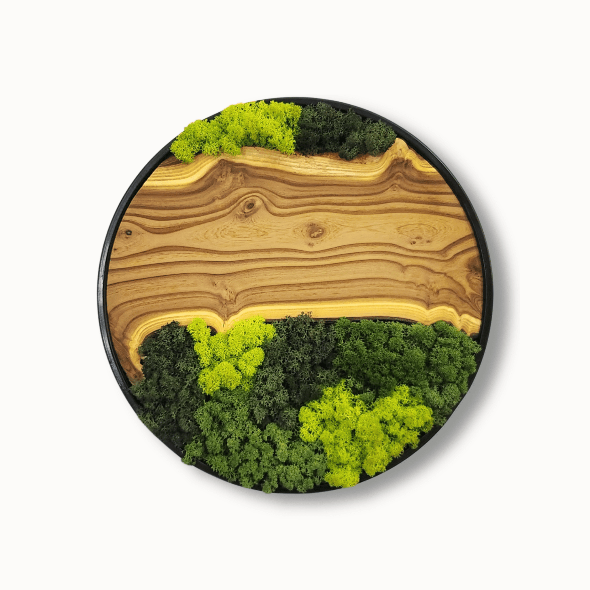 Green Escape - MOSSMOOD