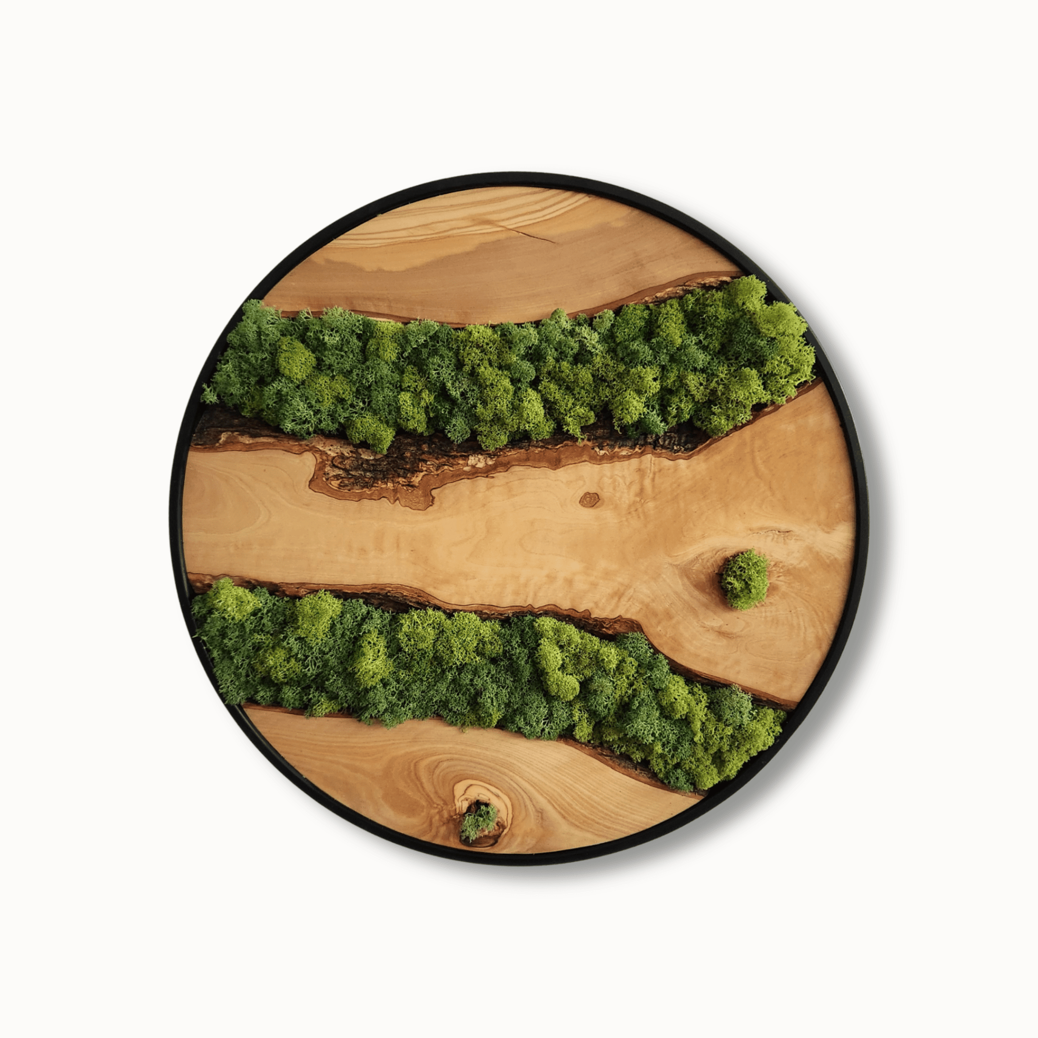 Moss Lines - MOSSMOOD
