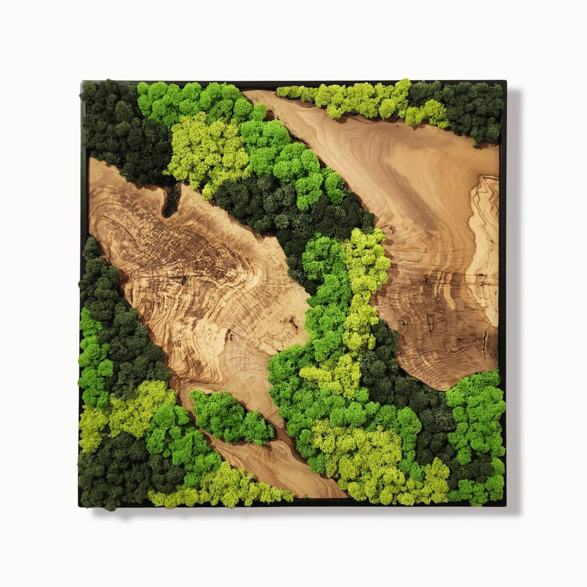 Natural Canyon - MOSSMOOD