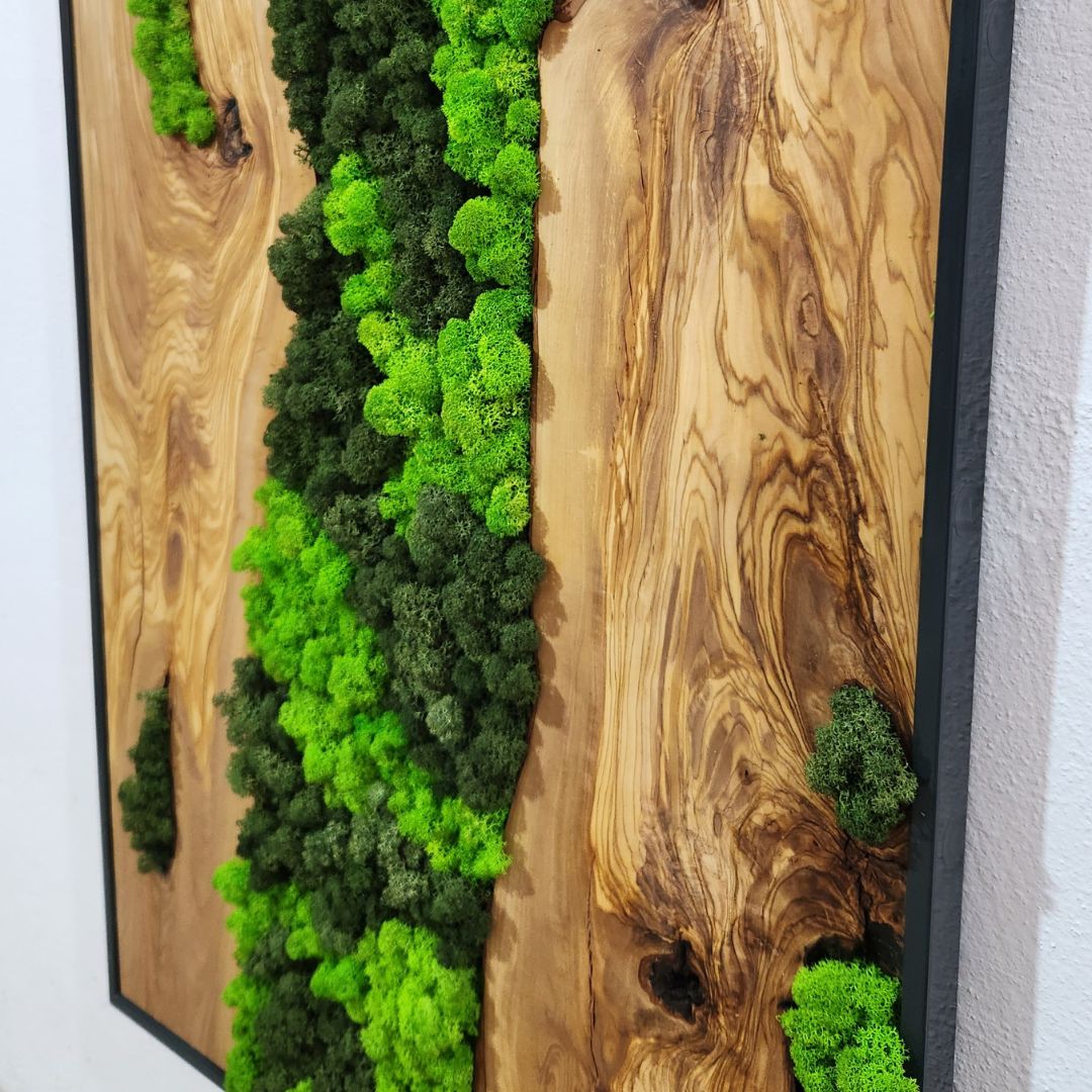 Olive Roots - MOSSMOOD