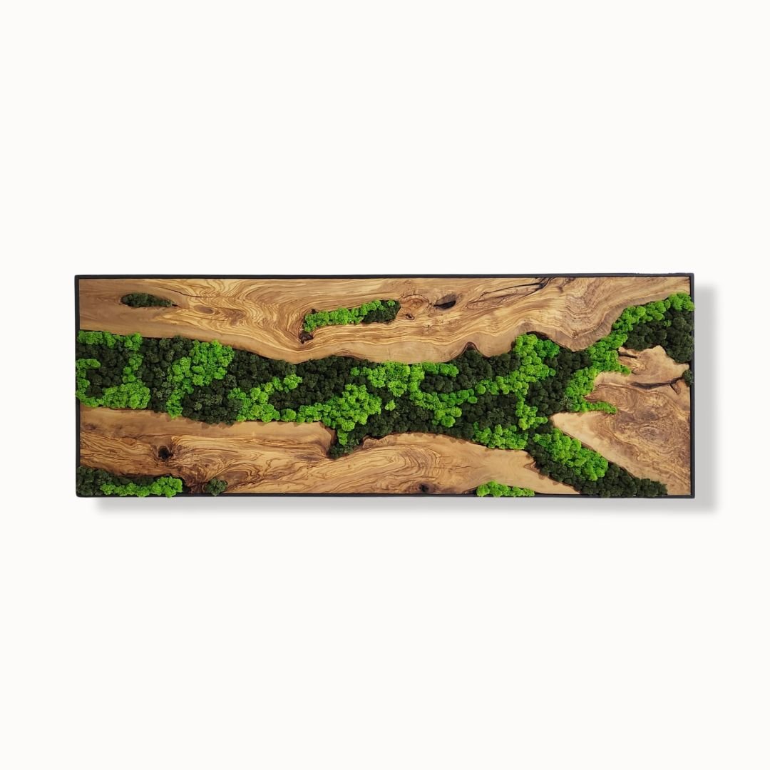 Olive Roots - MOSSMOOD