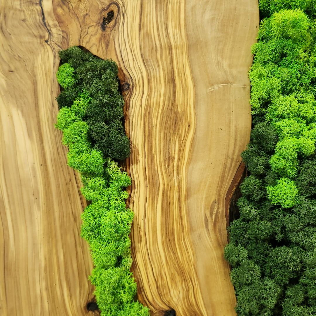 Olive Roots - MOSSMOOD