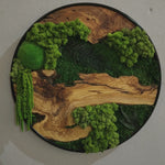 Round wood and moss wall art by MOSSMOOD – 360° view of the Botanic Bloom.