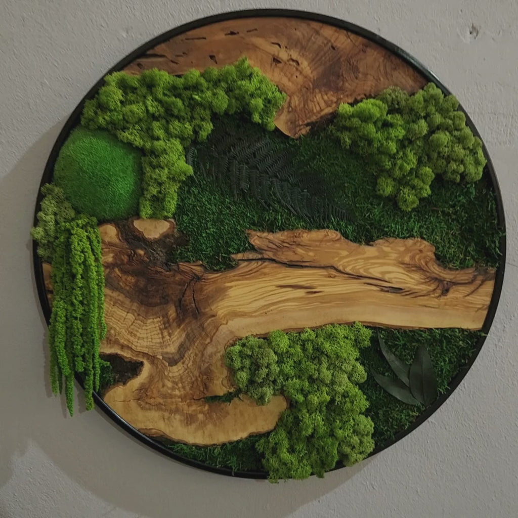 Round wood and moss wall art by MOSSMOOD – 360° view of the Botanic Bloom.