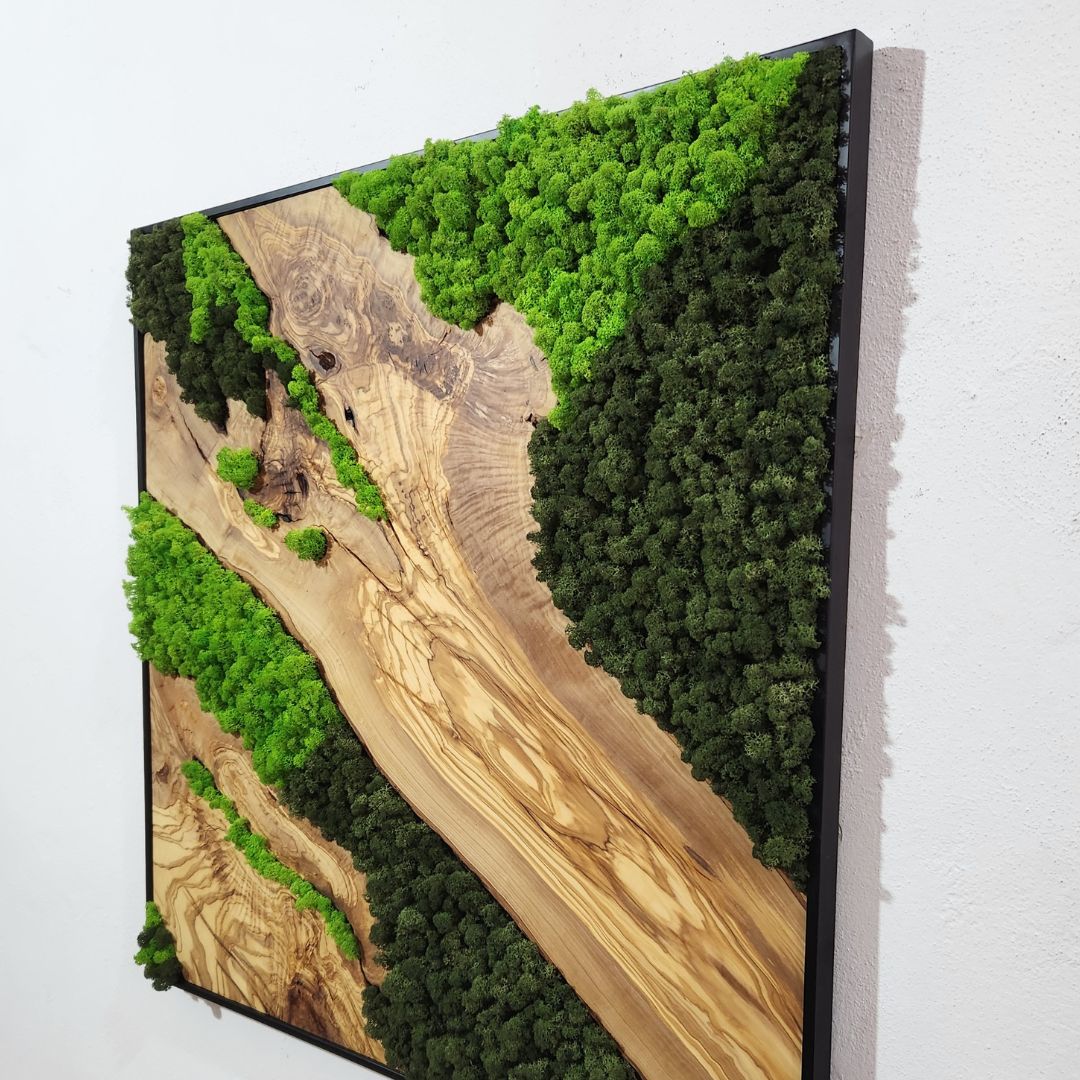 Rainforest Reflection - MOSSMOOD