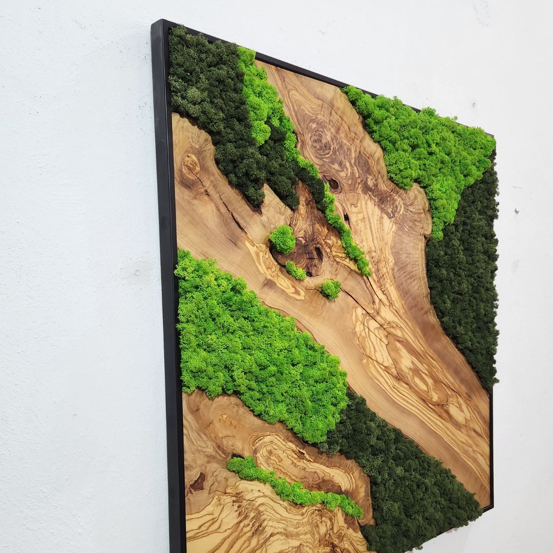 Rainforest Reflection - MOSSMOOD