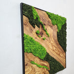 Rainforest Reflection - MOSSMOOD