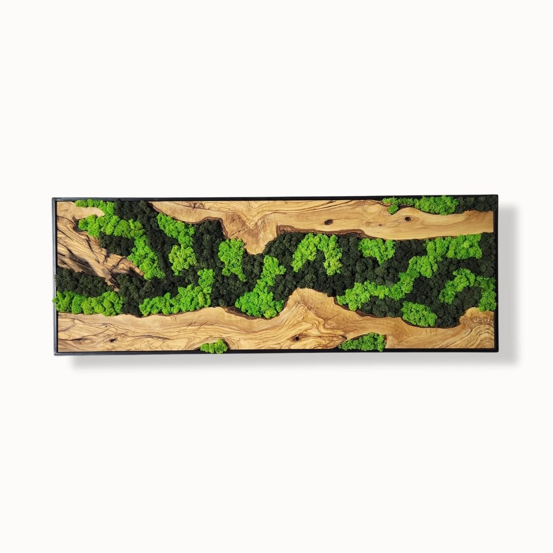 Silent Wilderness - MOSSMOOD