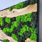 Moss wall art with natural wood texture on a plain background. low-maintenance greenery for every home
