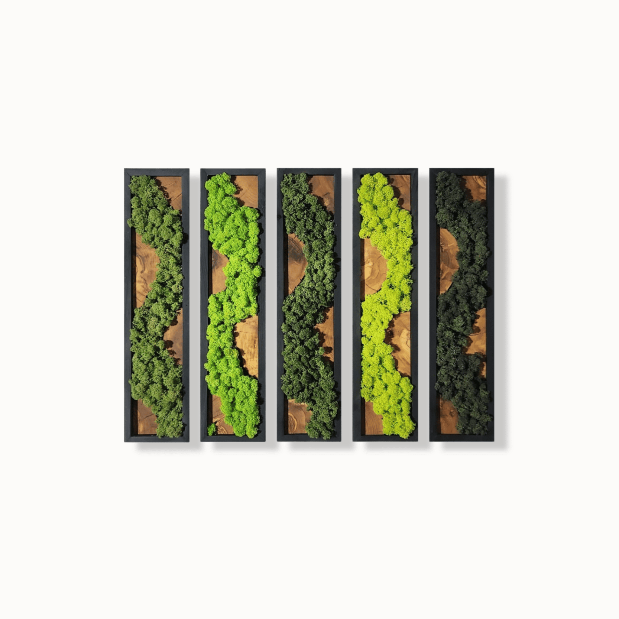 Terrace of Life - MOSSMOOD