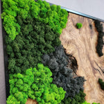 Velvet Terrain - MOSSMOOD