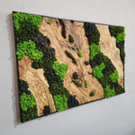 Velvet Terrain - MOSSMOOD