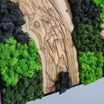 Velvet Terrain - MOSSMOOD