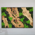 Velvet Terrain - MOSSMOOD
