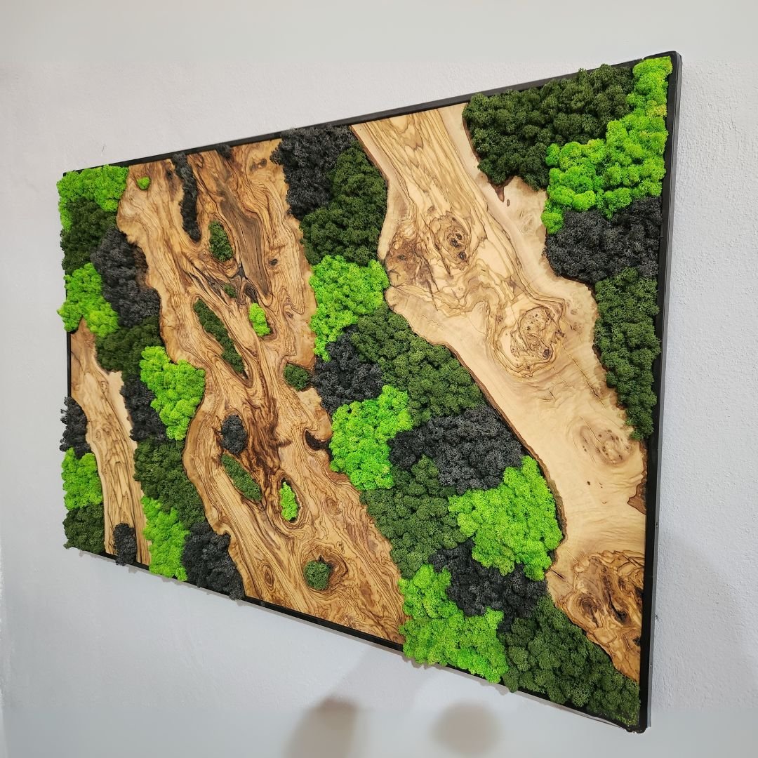 Velvet Terrain - MOSSMOOD