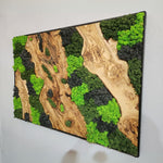 Velvet Terrain - MOSSMOOD