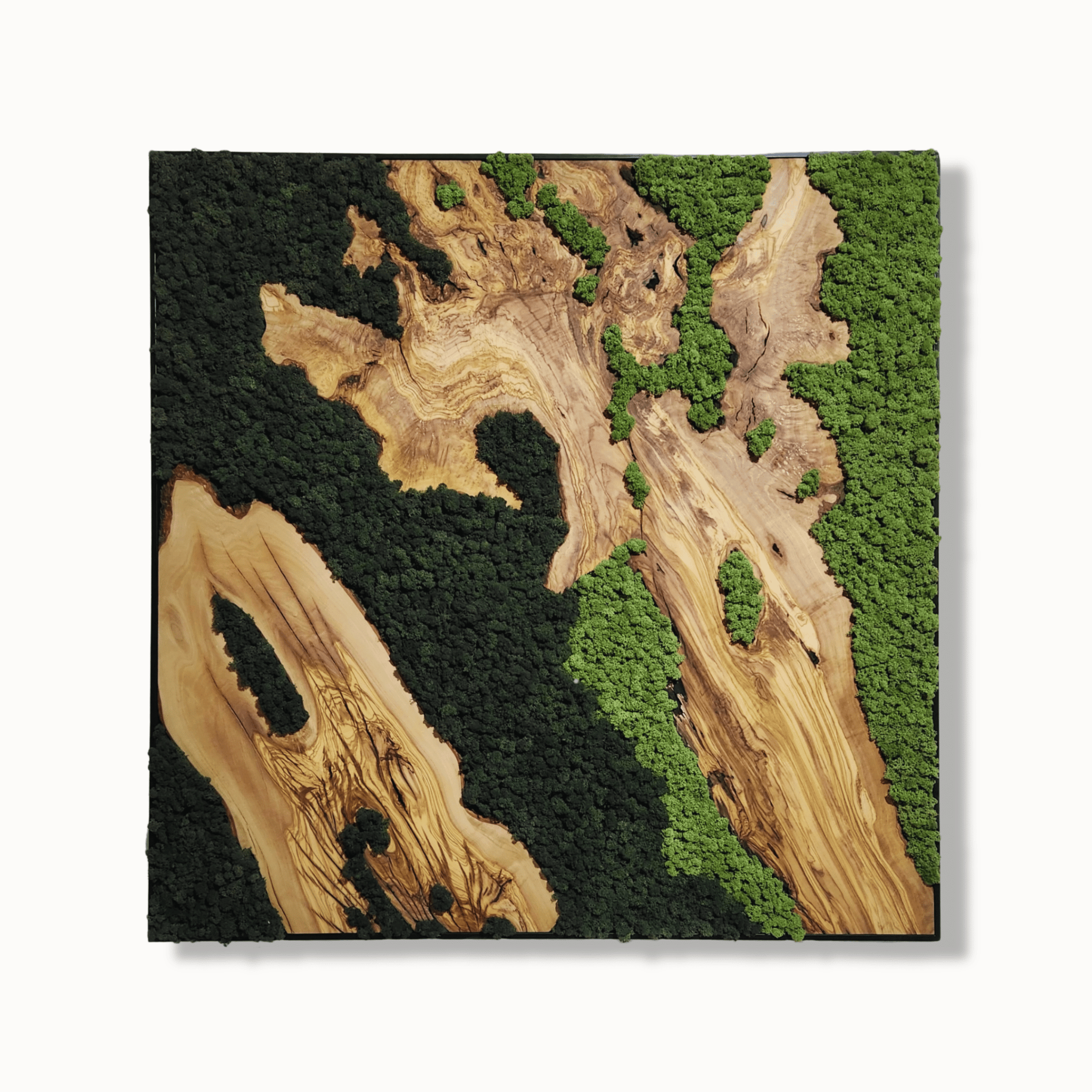 Verdant Dreams - MOSSMOOD