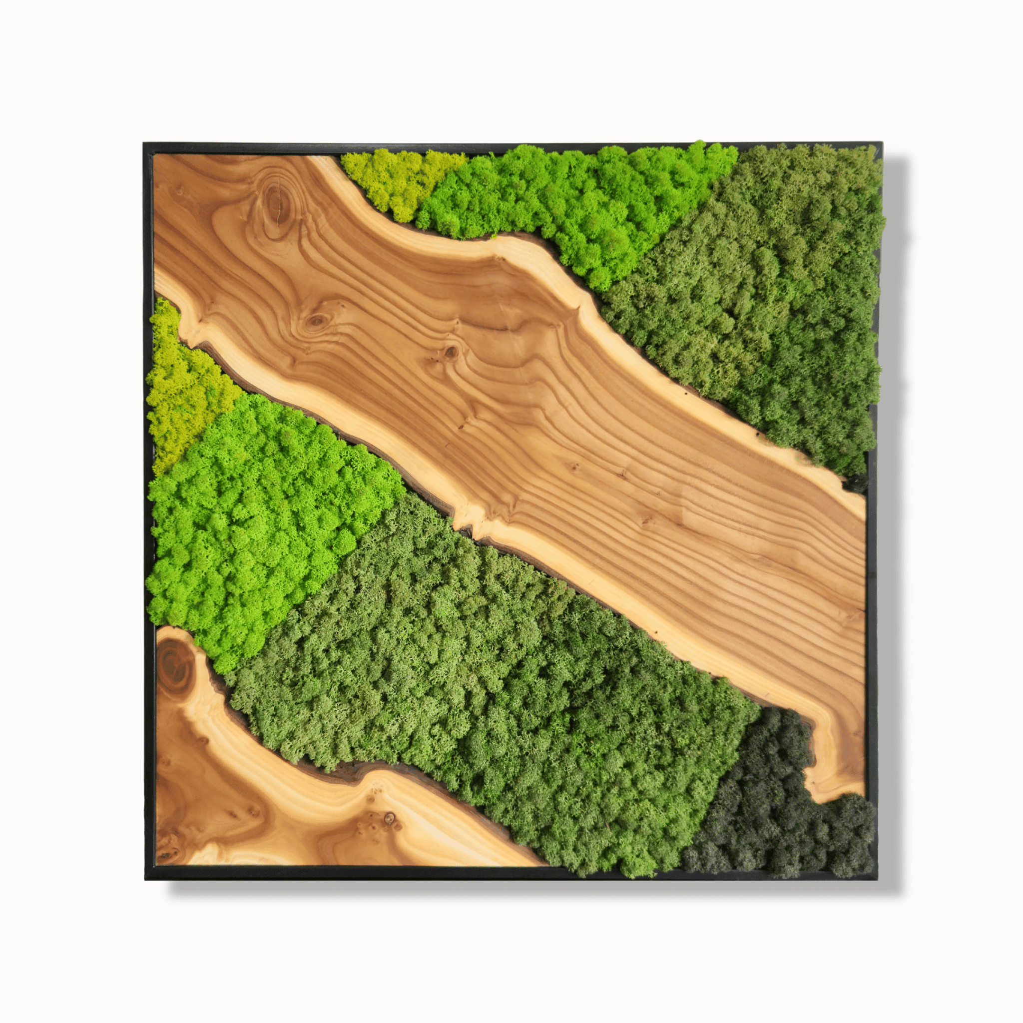 Wooden Tranquility - MOSSMOOD